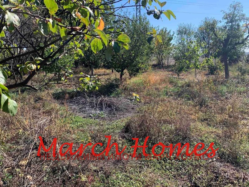 ������� ���� | Imot.bg � ����������� 8