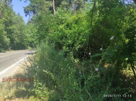 Trama m-t Shtarkelovo gnezdo, Sofia