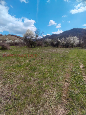 ������� ������ | Imot.bg � ����� ������ 11