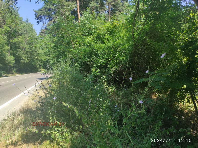 Eladó  Cselekmény Sofia , m-t Shtarkelovo gnezdo , 9000 négyzetméter | 69022539