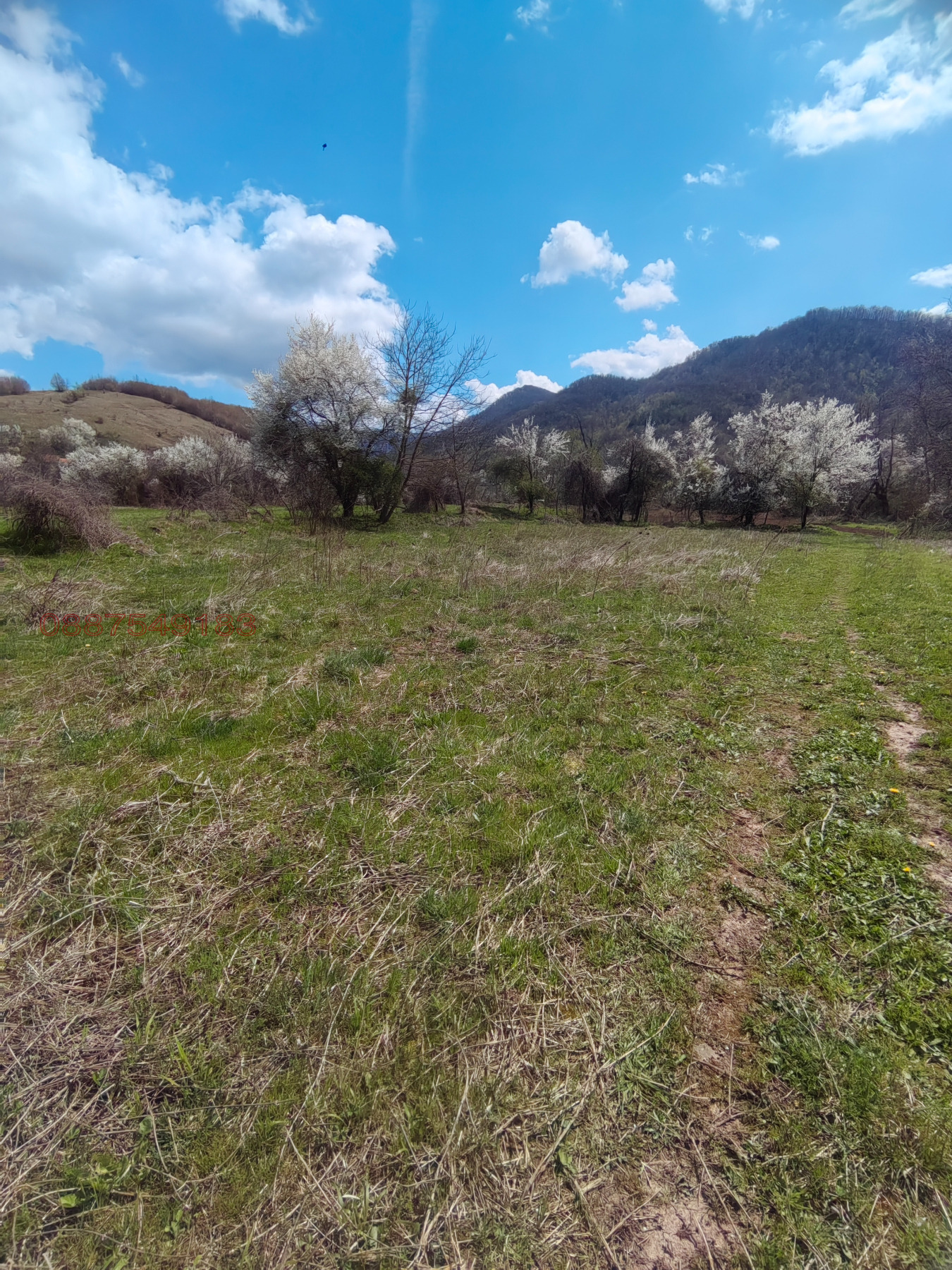 Продава ПАРЦЕЛ, с. Лютаджик, област Враца, снимка 11 - Парцели - 54173459