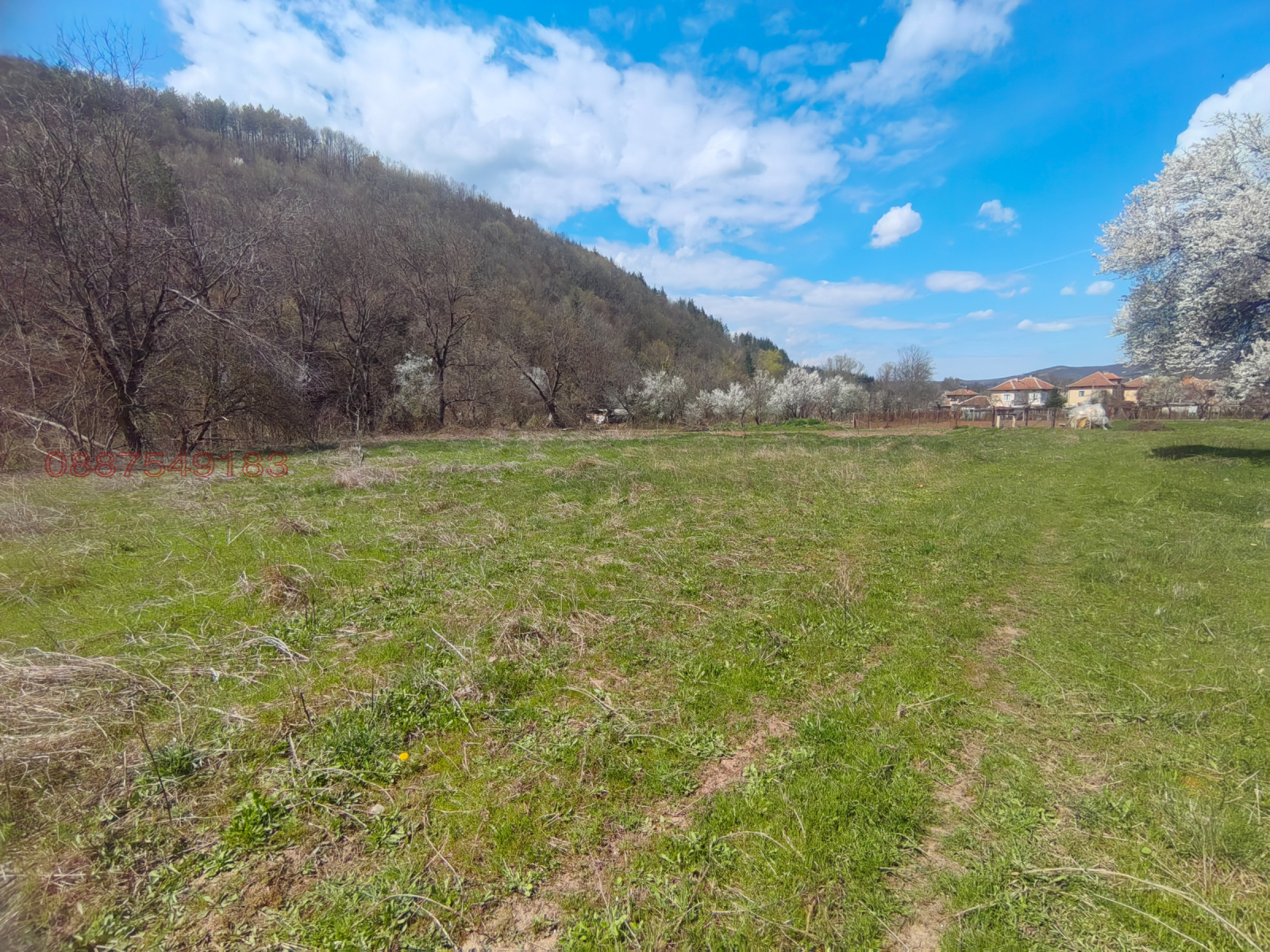 Продава ПАРЦЕЛ, с. Лютаджик, област Враца, снимка 2 - Парцели - 54173459