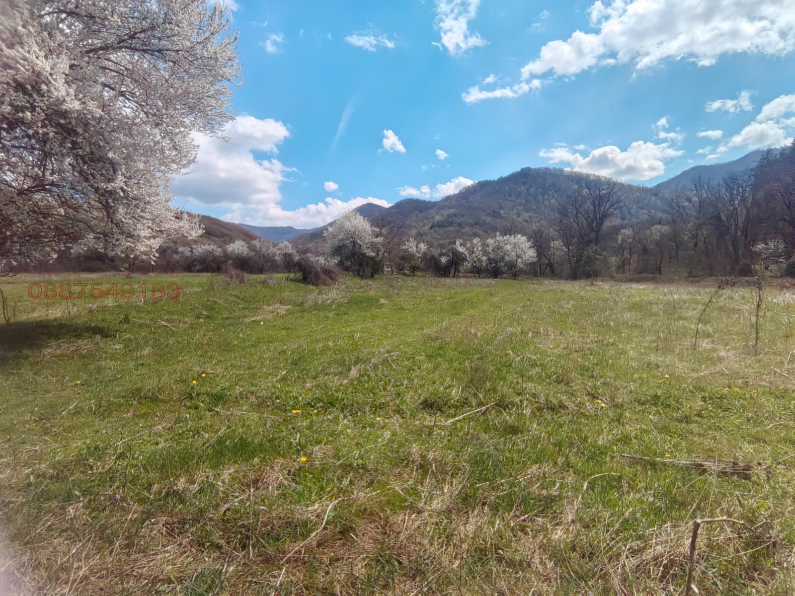 Продава ПАРЦЕЛ, с. Лютаджик, област Враца, снимка 7 - Парцели - 54173459