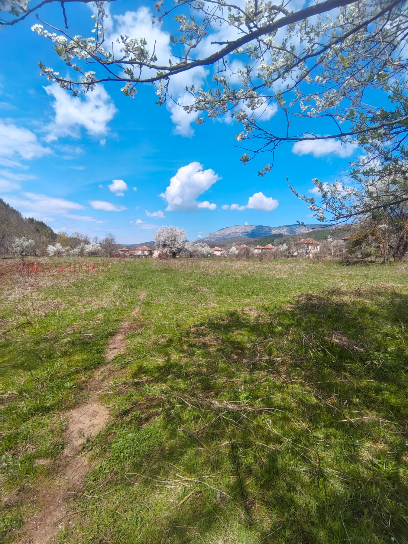 Продава ПАРЦЕЛ, с. Лютаджик, област Враца, снимка 3 - Парцели - 54173459