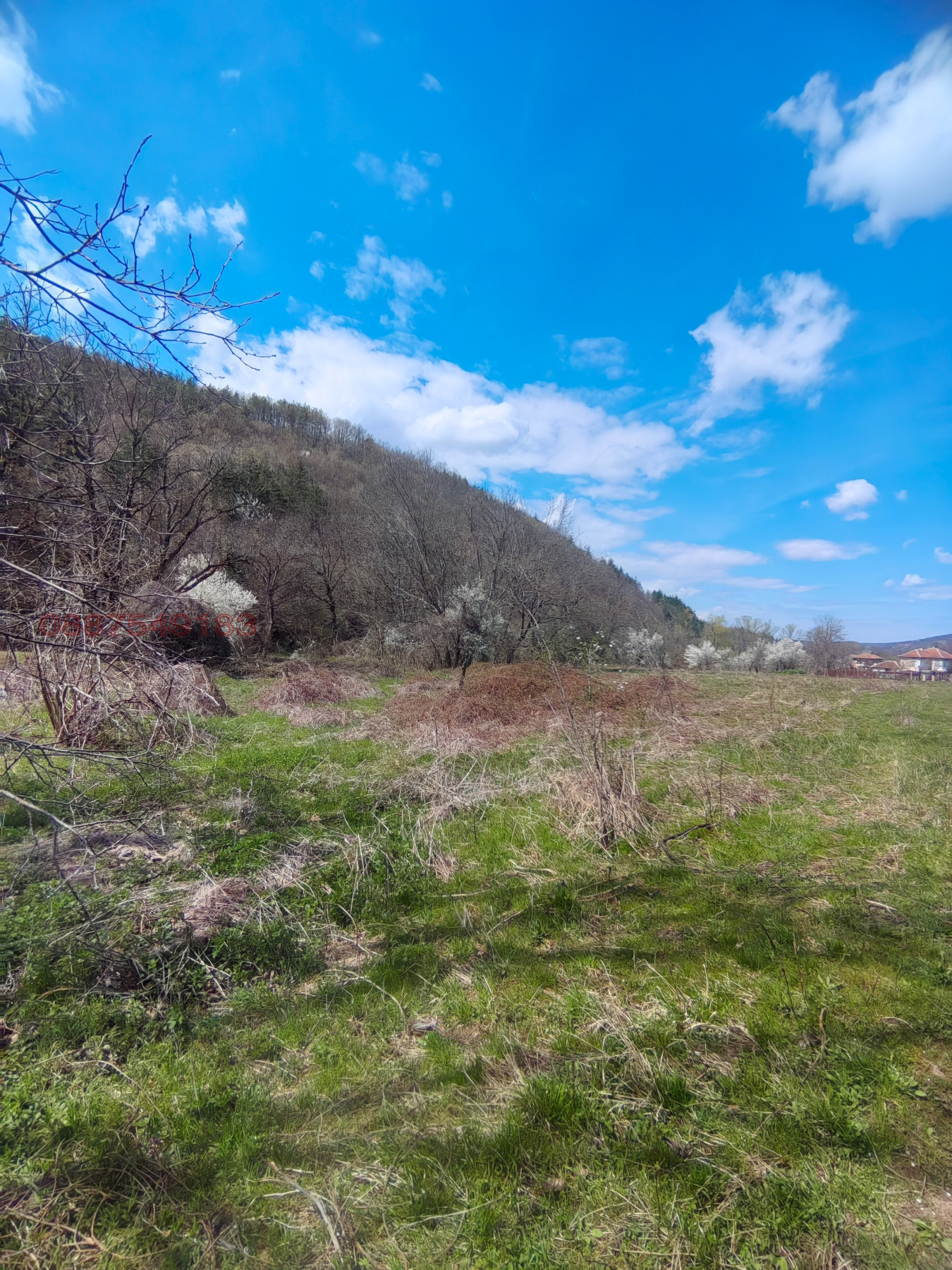 Продава ПАРЦЕЛ, с. Лютаджик, област Враца, снимка 4 - Парцели - 54173459