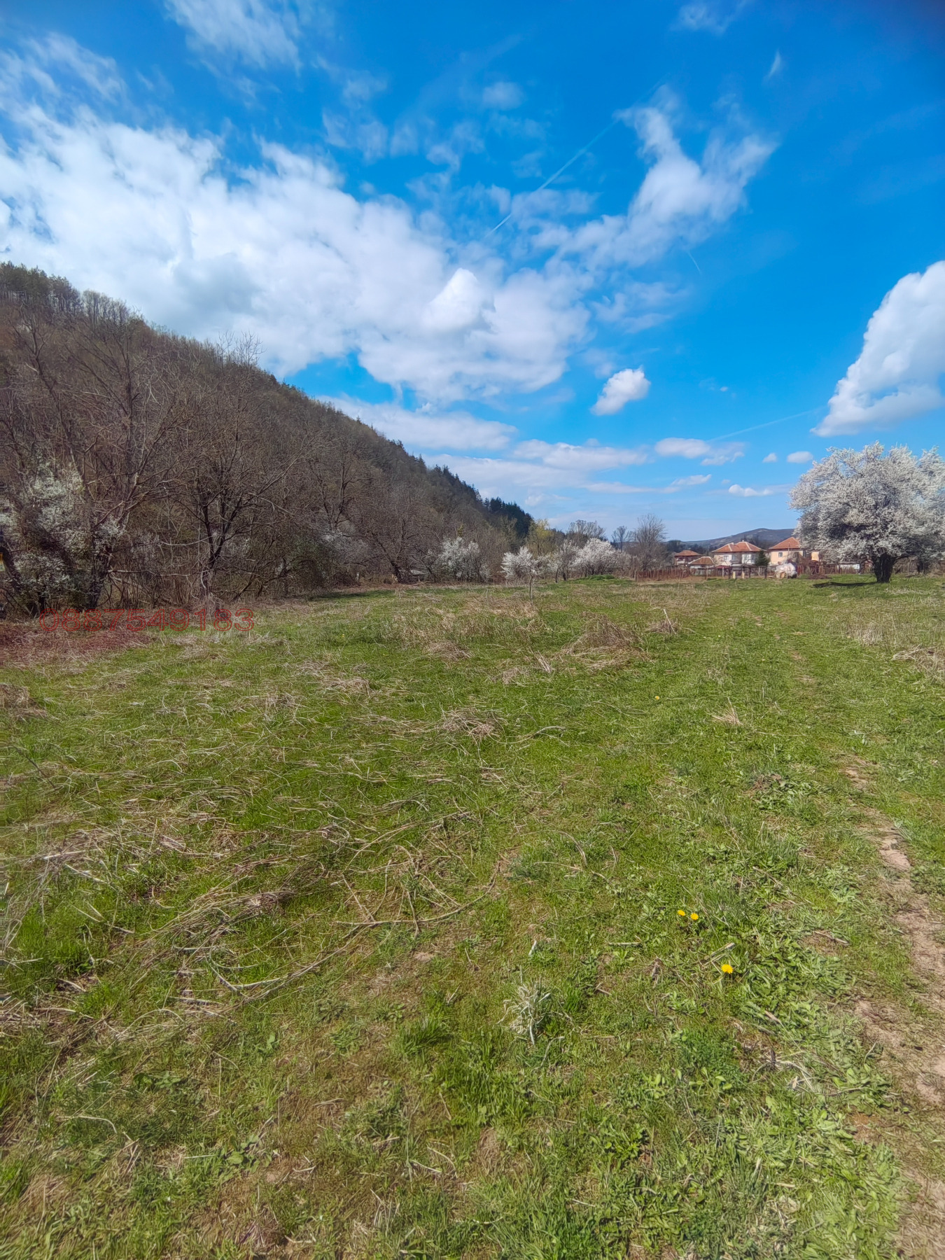 Продава ПАРЦЕЛ, с. Лютаджик, област Враца, снимка 5 - Парцели - 54173459