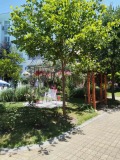 Продава 2-СТАЕН, област Бургас, к.к. Слънчев бряг • 105000 € • 12764463 — Holmes.bg