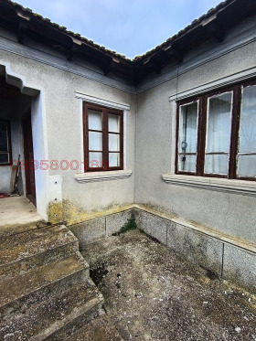 ����� ������� ����,�. �����, ������ ������>