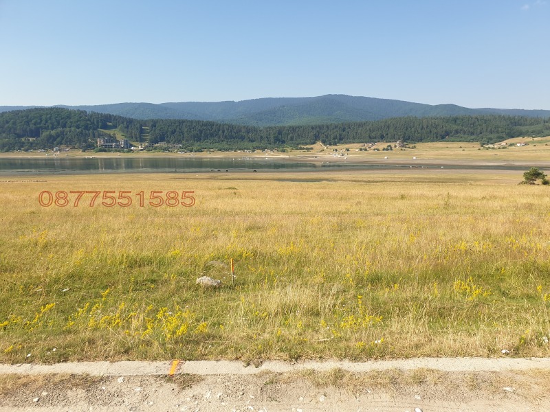 Продава ПАРЦЕЛ, м-т Цигов чарк, област Пазарджик, снимка 2 - Парцели - 52931682