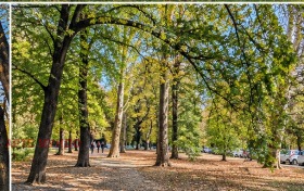 ������� 2-����� | Imot.bg � ����� ������ 7