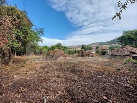 House Ostritsa, region Ruse 12