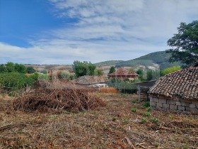 Talo Ostritsa, Rusen alue 13