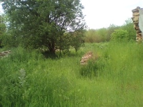 ������� ����. ��������� | Imot.bg � ����� ������ 10