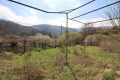 Продава КЪЩА, област Сливен, с. Ичера • 60000 € • 35131160 — Holmes.bg