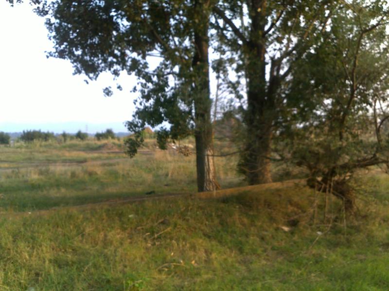 Продава ПАРЦЕЛ, гр. София, Челопечене, снимка 6 - Парцели - 53095878