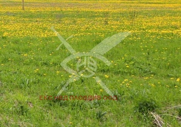Продава ПАРЦЕЛ, с. Скутаре, област Пловдив