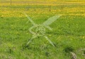 Продава  Парцел област Пловдив , с. Скутаре , 5785 кв.м | 73828242