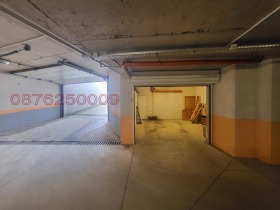 ����� ������� �����,���� �����, ���������