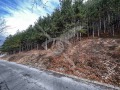 Продава ПАРЦЕЛ, град София, с. Мърчаево • 43000 € • 27338292 — Holmes.bg