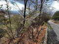 Продава ПАРЦЕЛ, град София, с. Мърчаево • 43000 € • 27338292 — Holmes.bg