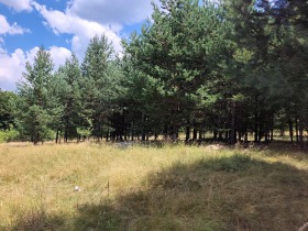 ������� ������ | Imot.bg � ����� ������ 5
