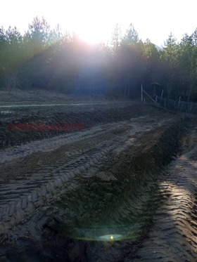 ������� ������ | Imot.bg � ����� ������ 2