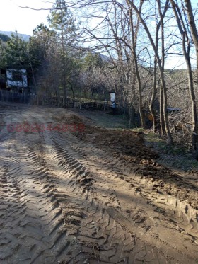 ������ ������� ������