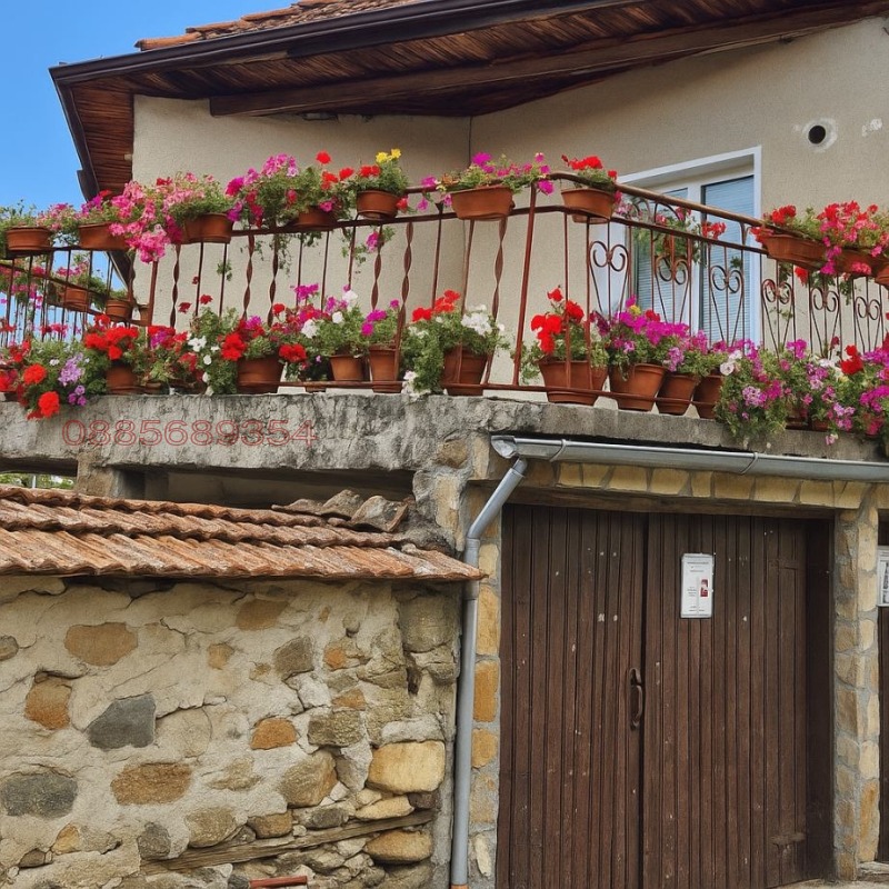 Продава  Къща област Благоевград , с. Горно Драглище , 280 кв.м | 61978332