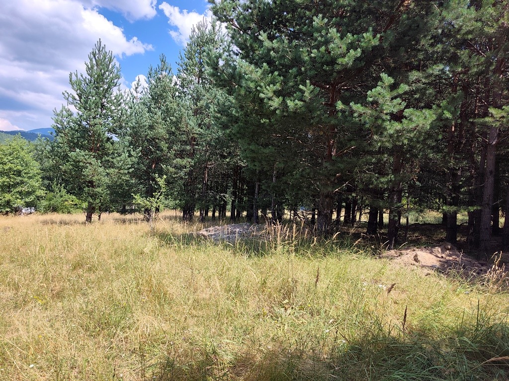 Продава ПАРЦЕЛ, гр. Разлог, област Благоевград, снимка 4 - Парцели - 55571099