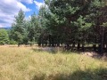 Продава ПАРЦЕЛ, гр. Разлог, област Благоевград, снимка 4