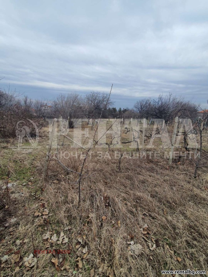 На продаж  Будинок область Пловдив , Белащица , 114 кв.м | 80577428 - зображення [17]