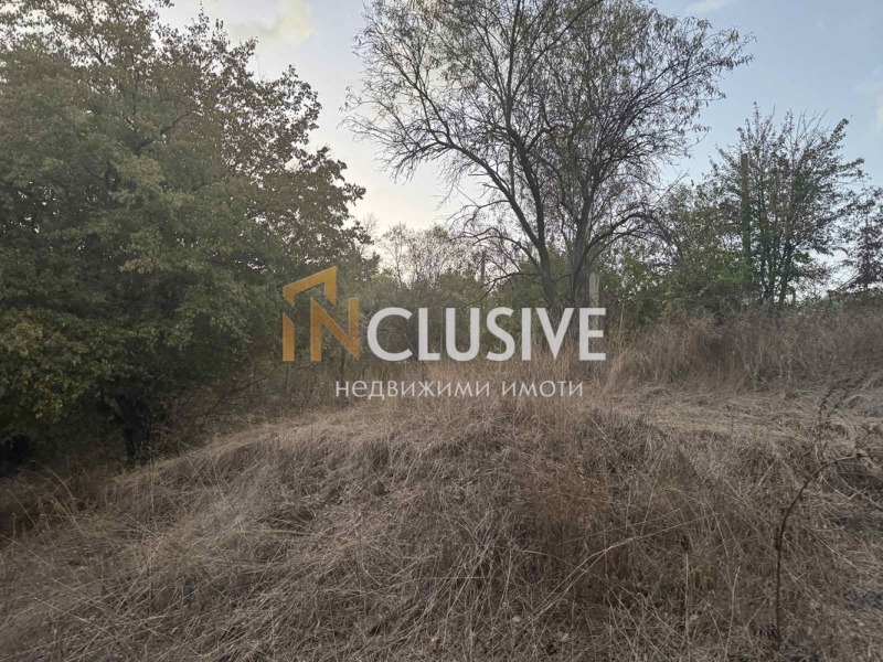 For Sale  Plot Varna , m-t Borovets - yug , 6000 sq.m | 51291876 - image [3]