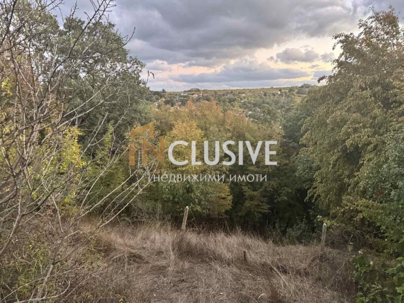 For Sale  Plot Varna , m-t Borovets - yug , 6000 sq.m | 51291876 - image [4]