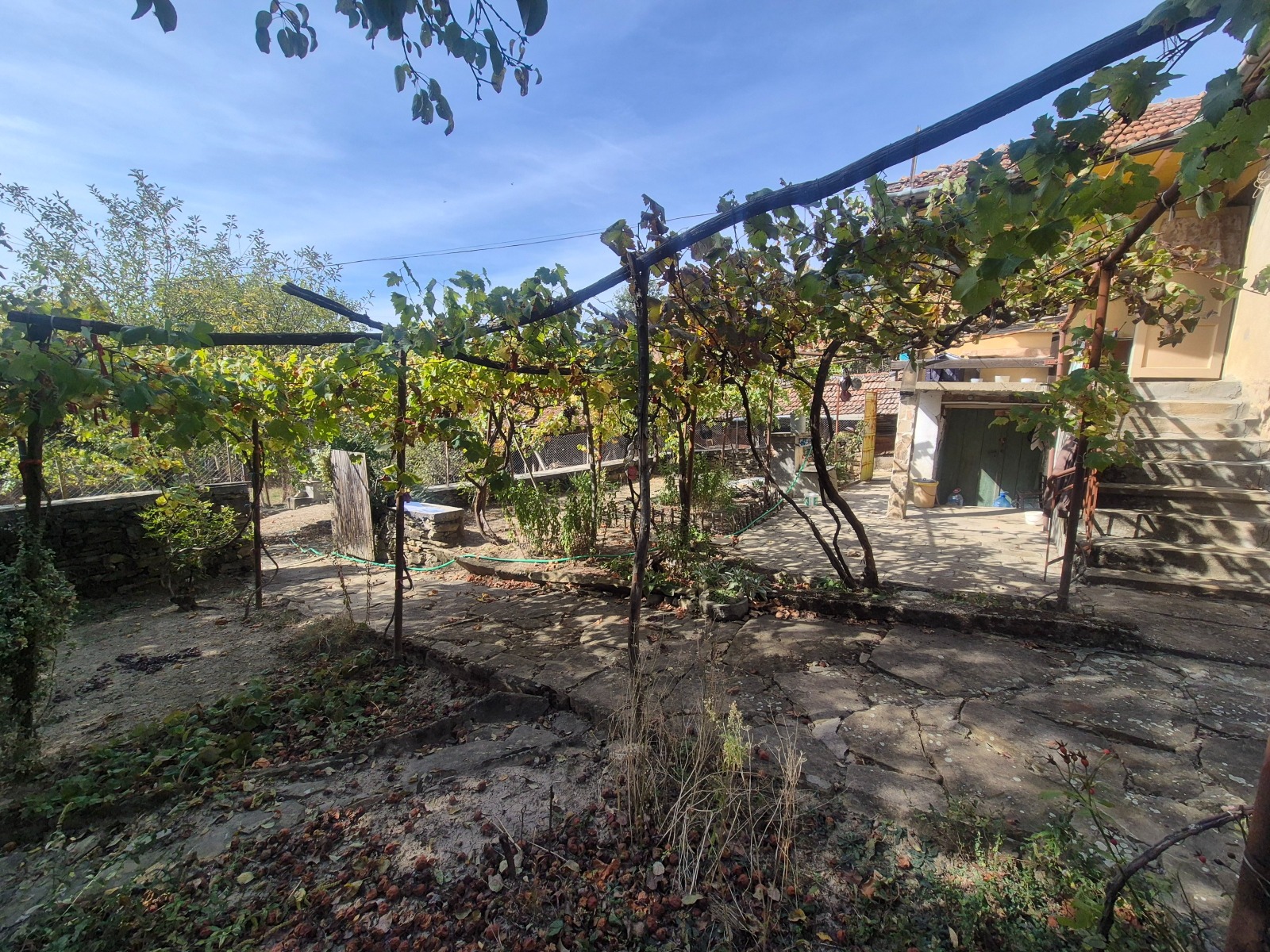 ������� ���� | Imot.bg � ����������� 5