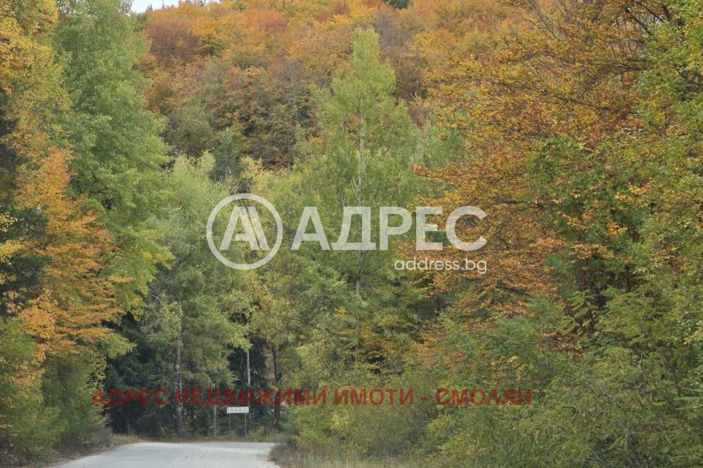 ������� ��������� | Imot.bg � ����������� 17