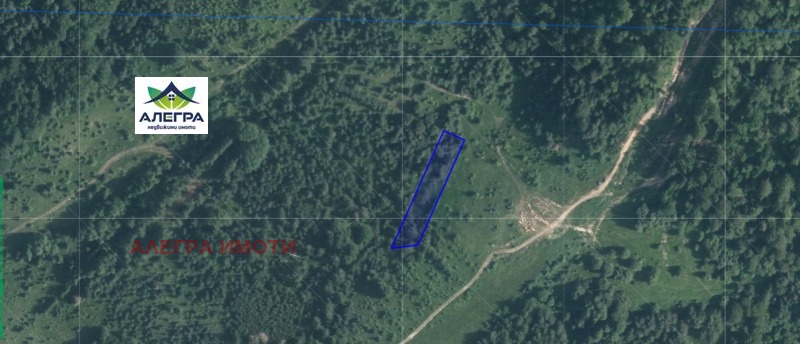 Продава ПАРЦЕЛ в област Пазарджик, яз. Батак - 2508 кв.м / 95 300 € » 186 390.60 лв., АЛЕГРА ИМОТИ