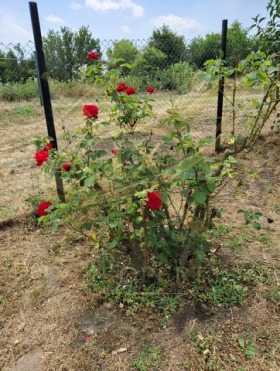 ������� ���� | Imot.bg � ����� ������ 6