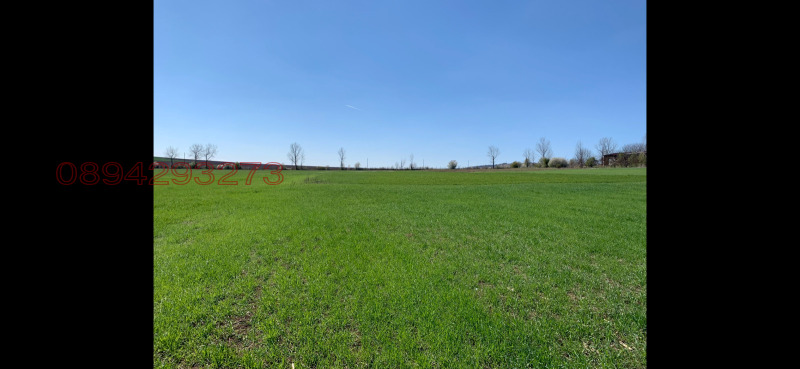 Продава ПАРЦЕЛ, с. Паламарца, област Търговище, снимка 3 - Парцели - 52781733