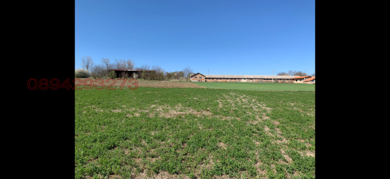 Продава ПАРЦЕЛ, с. Паламарца, област Търговище