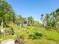 Продава ПАРЦЕЛ, гр. Белослав, област Варна, снимка 14