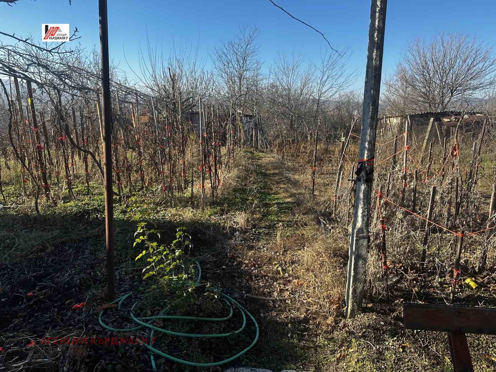 ������� ���� | Imot.bg � ����������� 5