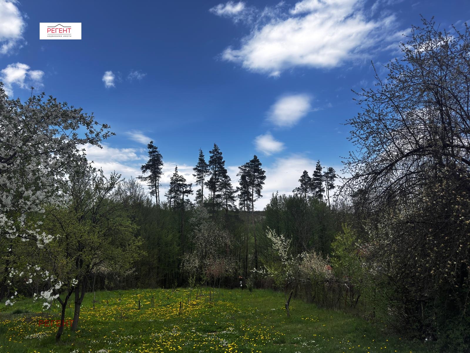 ������� ���� | Imot.bg � ����������� 7