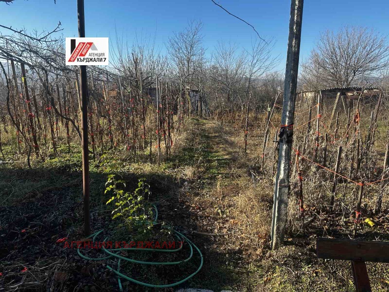 Продава КЪЩА, гр. Кърджали, Веселчане, снимка 4 - Къщи - 53201137