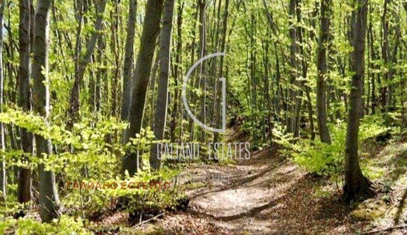 Продава ПАРЦЕЛ, гр. София, Бояна