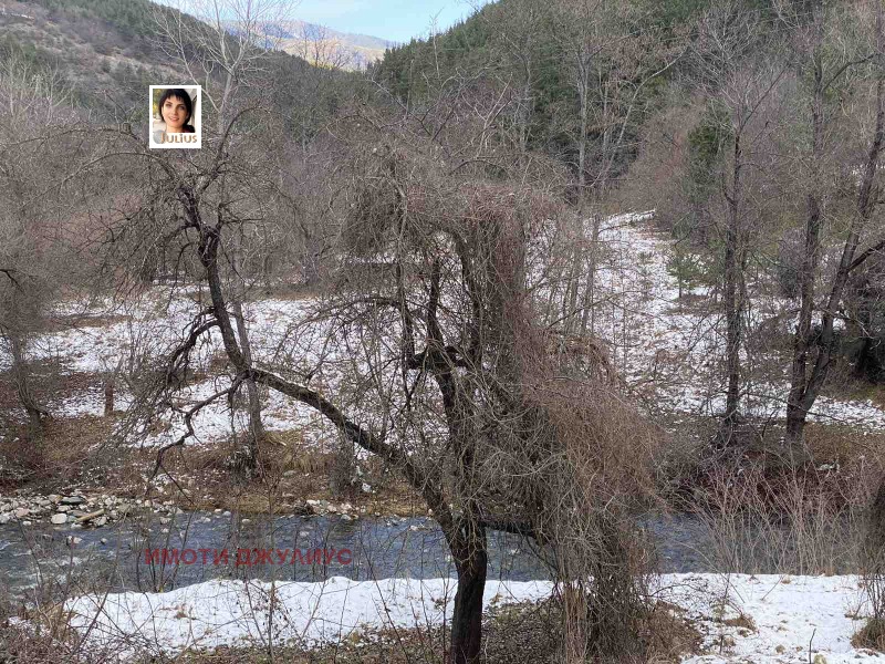 Продава КЪЩА, с. Хвойна, област Смолян, снимка 6 - Къщи - 53179470