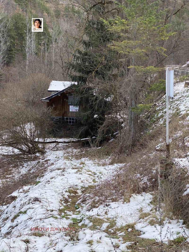 Продава КЪЩА, с. Хвойна, област Смолян, снимка 4 - Къщи - 53179470