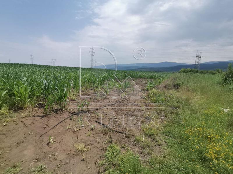 For Sale  Plot region Plovdiv , Zlatitrap , 6000 sq.m | 26508415 - image [3]