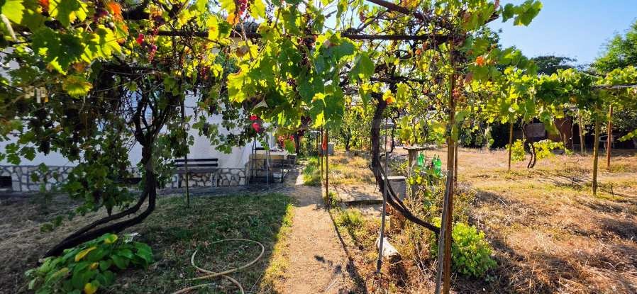 Продава КЪЩА, с. Орешене, област Ловеч, снимка 5 - Къщи - 55804189