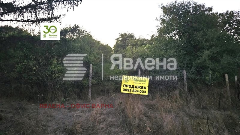 ������� ���� | Imot.bg � ����������� 17