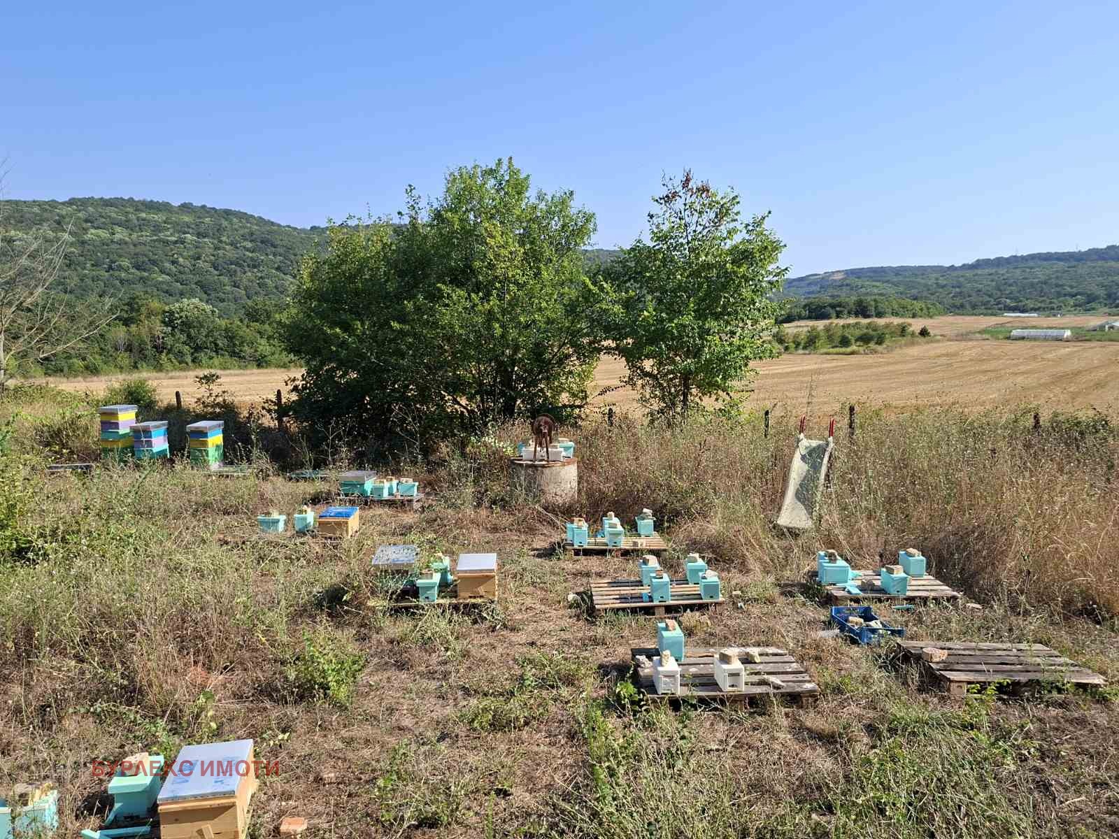 ������� ���� | Imot.bg � ����������� 12